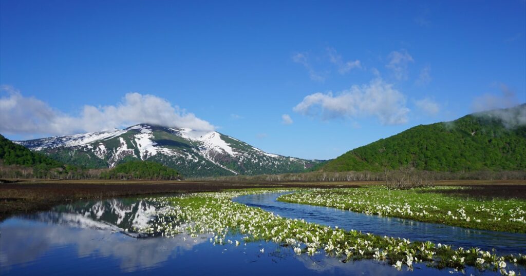 2025年10月28日－大江湿原の様子 | 尾瀬保護財団