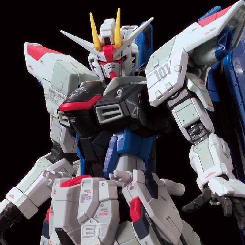 ロボット RG 1/144 FREEDOM GUNDAM Ver.GCP RG 1/144 Freedom Gundam