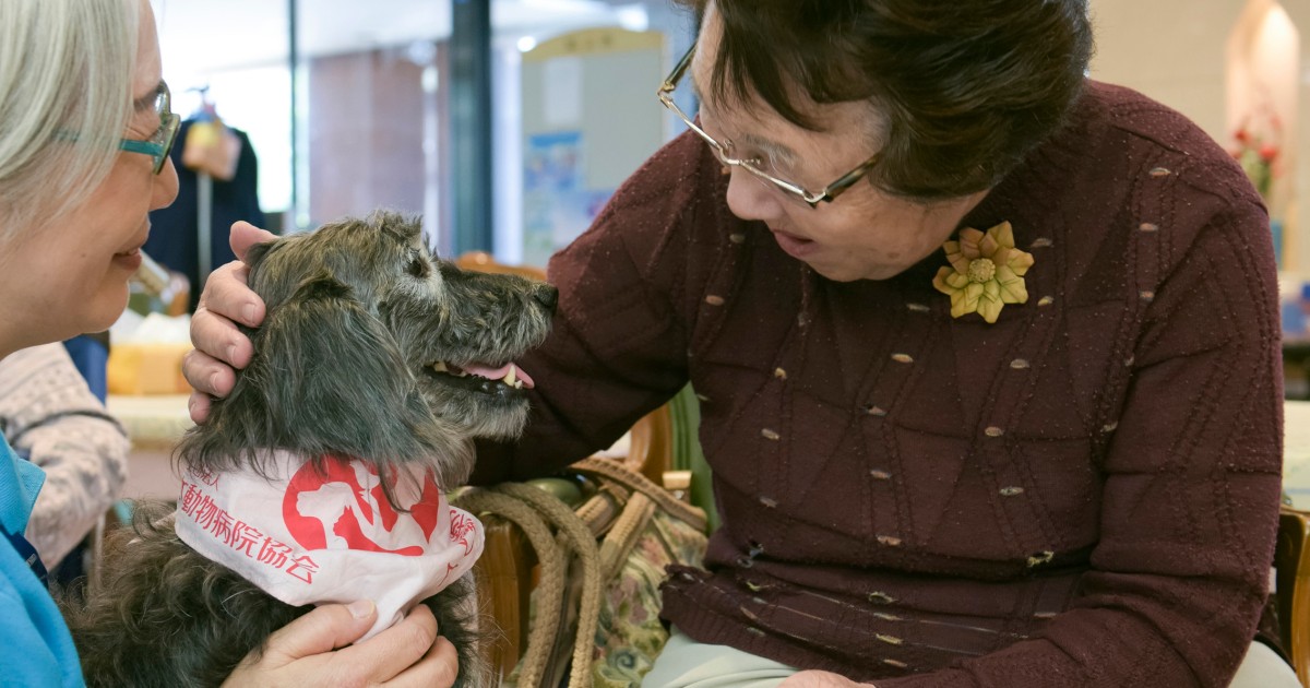 犬や猫とふれあって人も動物も幸せに 35年目を迎えたJAHAの取り組み