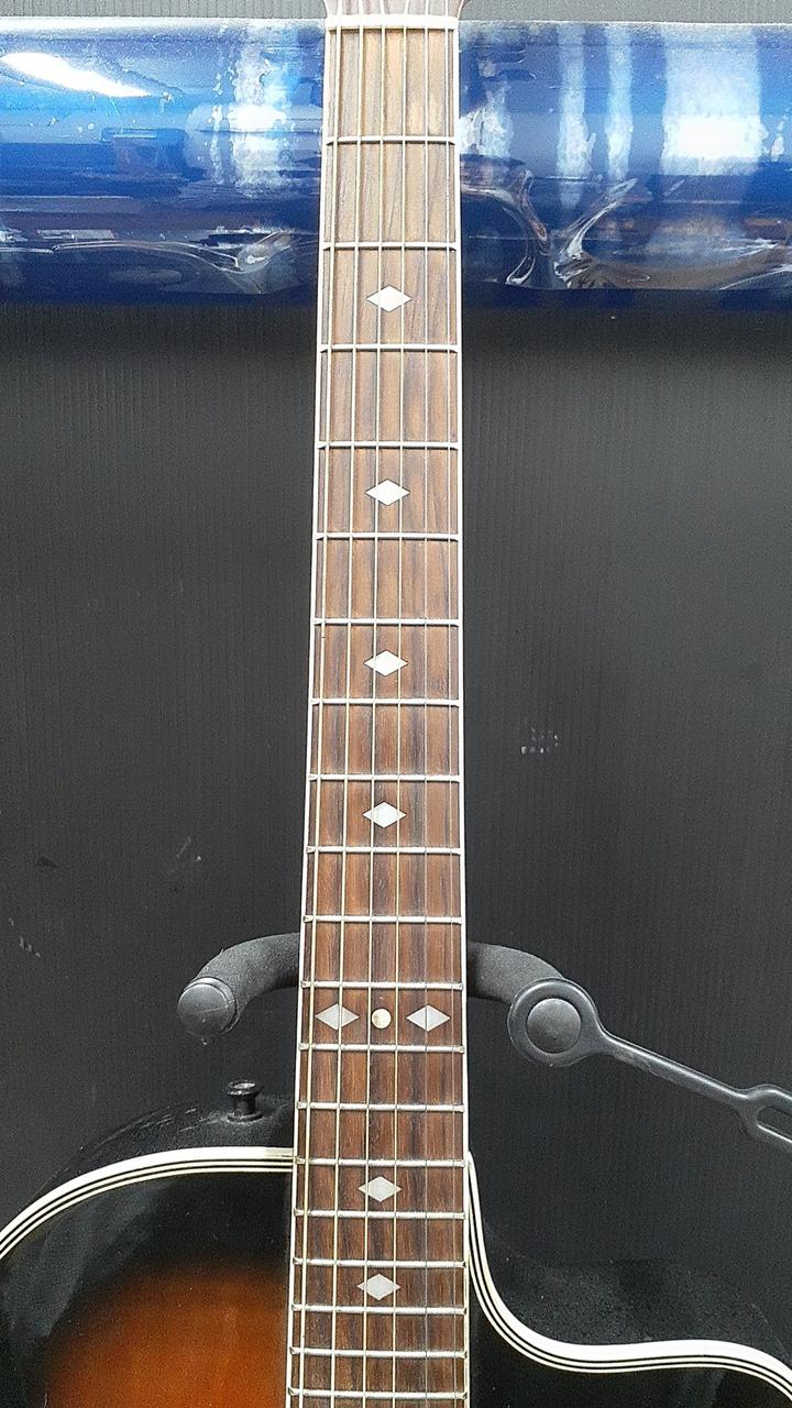 ARIA エレアコ since 1956 （中古） 2026年最新】aria 1956の人気