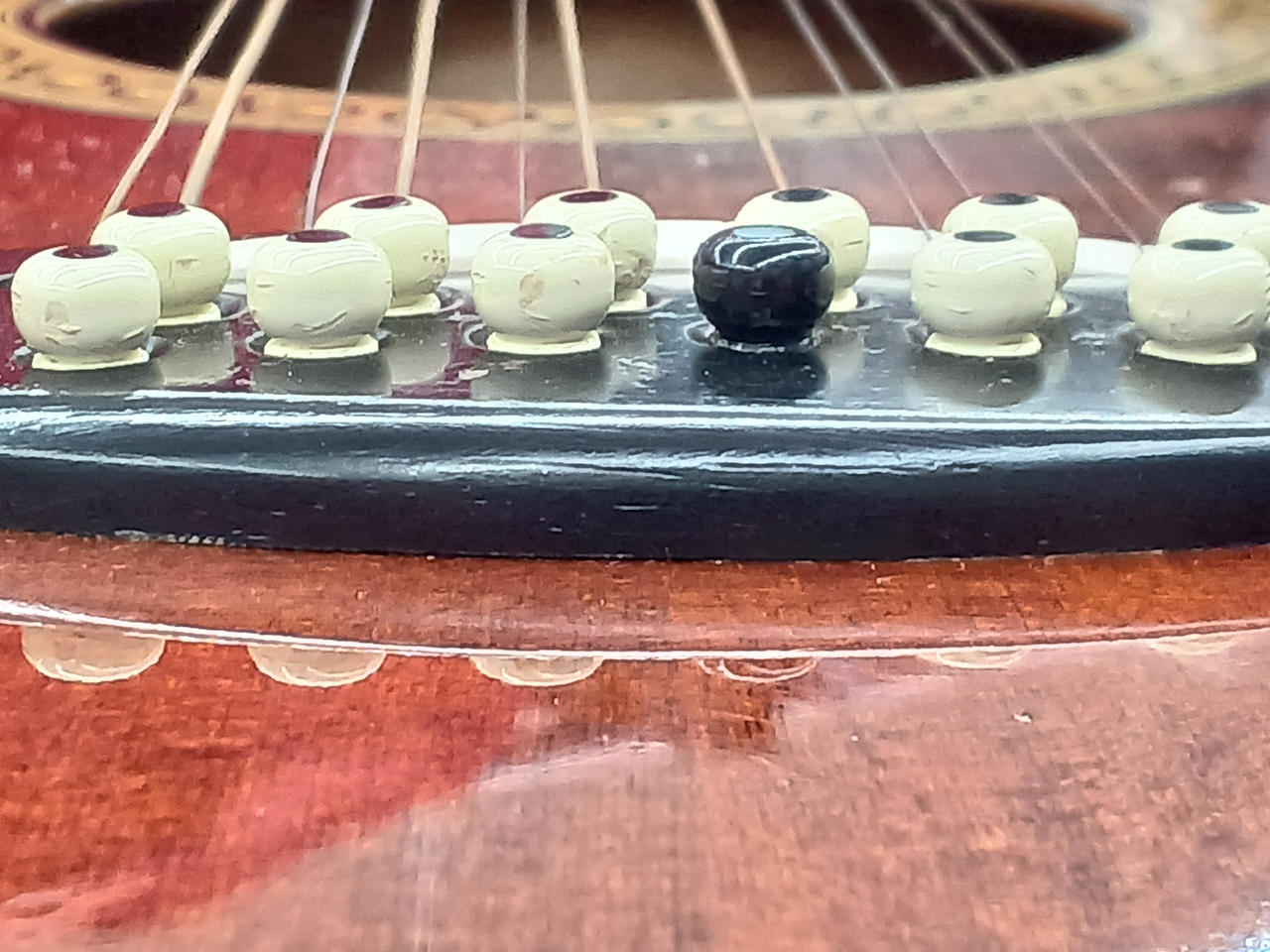 MORRIS/TORNADO|12弦エレアコ|【ハードオフ公式通販】オフモール