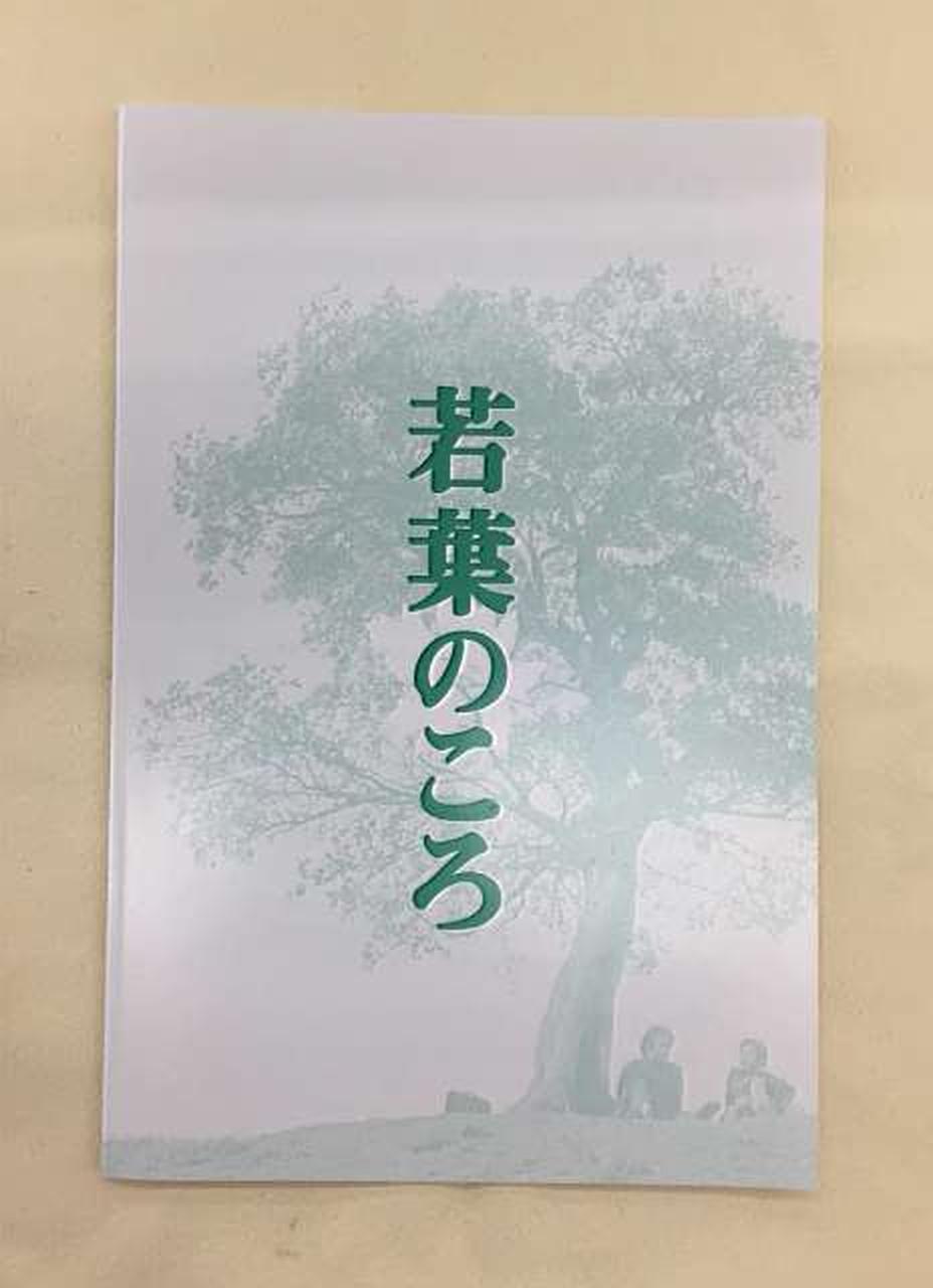 ビクター エンタテインメント(Victor Entertainment)|若葉のころ DVD