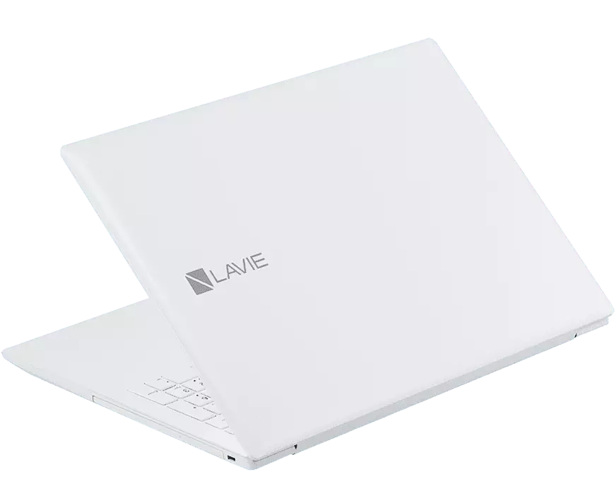 2019年春モデル LAVIE Direct NS(A) 15.6型ワイド [Note Standard