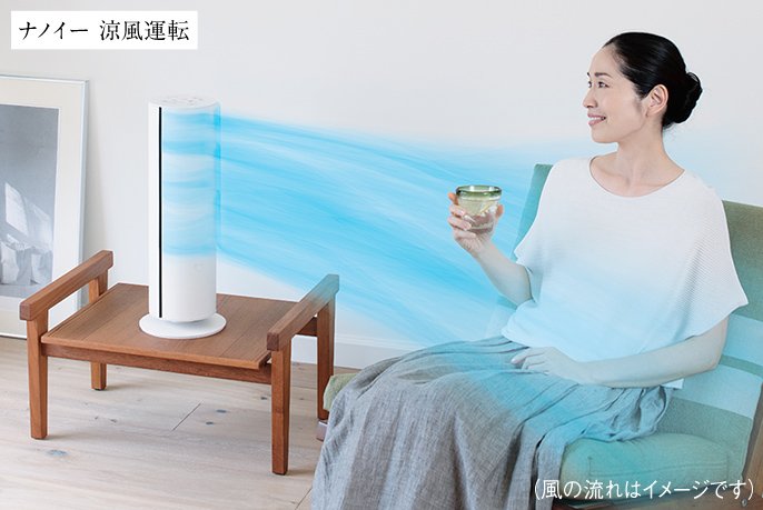 概要 ナノイーX搭載ファンヒーター Hot&Cool DS-FWX1200 | 電気