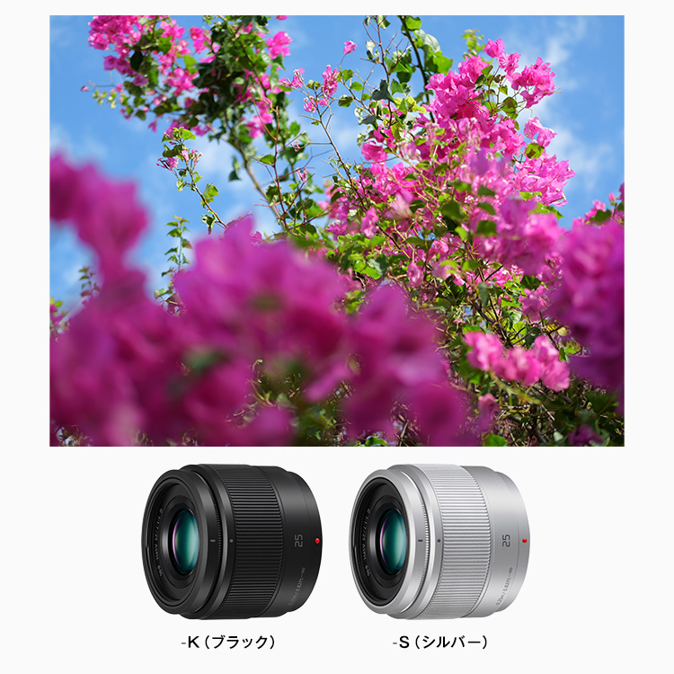 概要 デジタル一眼カメラ用交換レンズ H-H025 | LUMIX（ルミックス