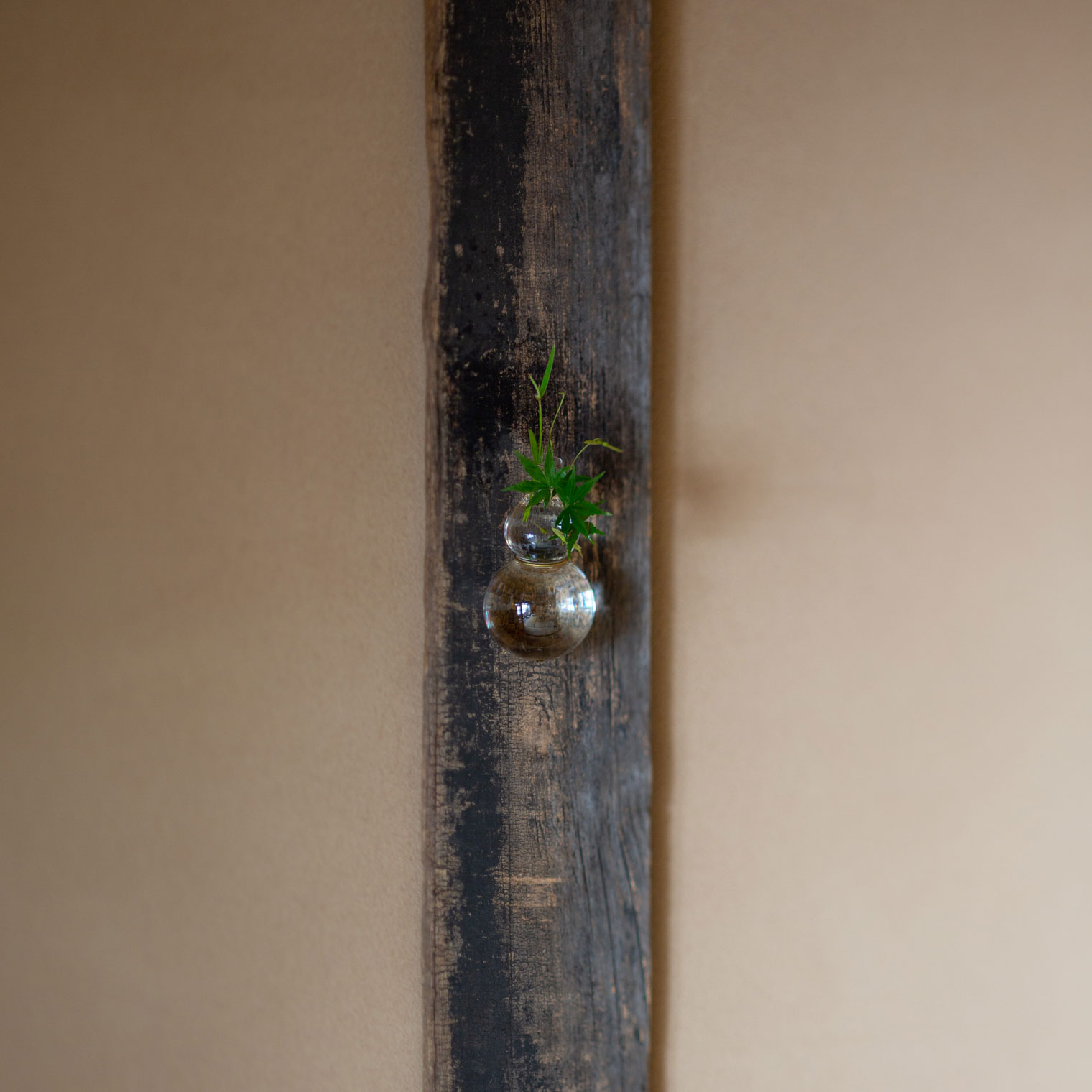 モール瓢掛花入 | Works | 津田清和 | panorama