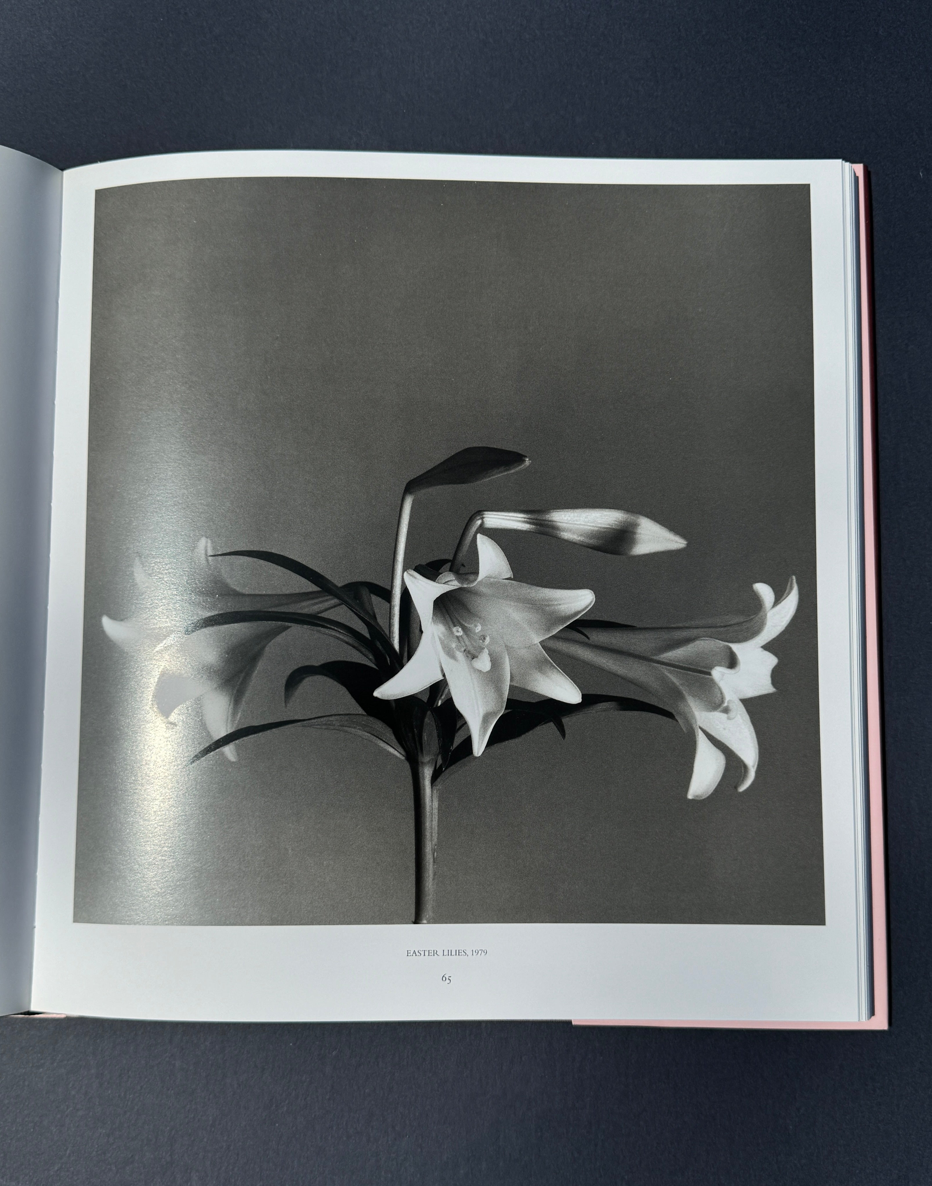 Robert Mapplethorpe - Pistils – Parallel Editions