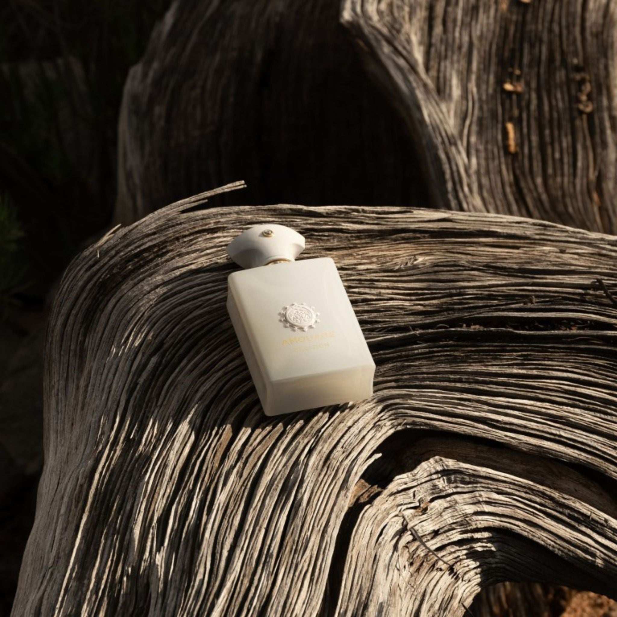 Decision | Amouage | parfumexquis