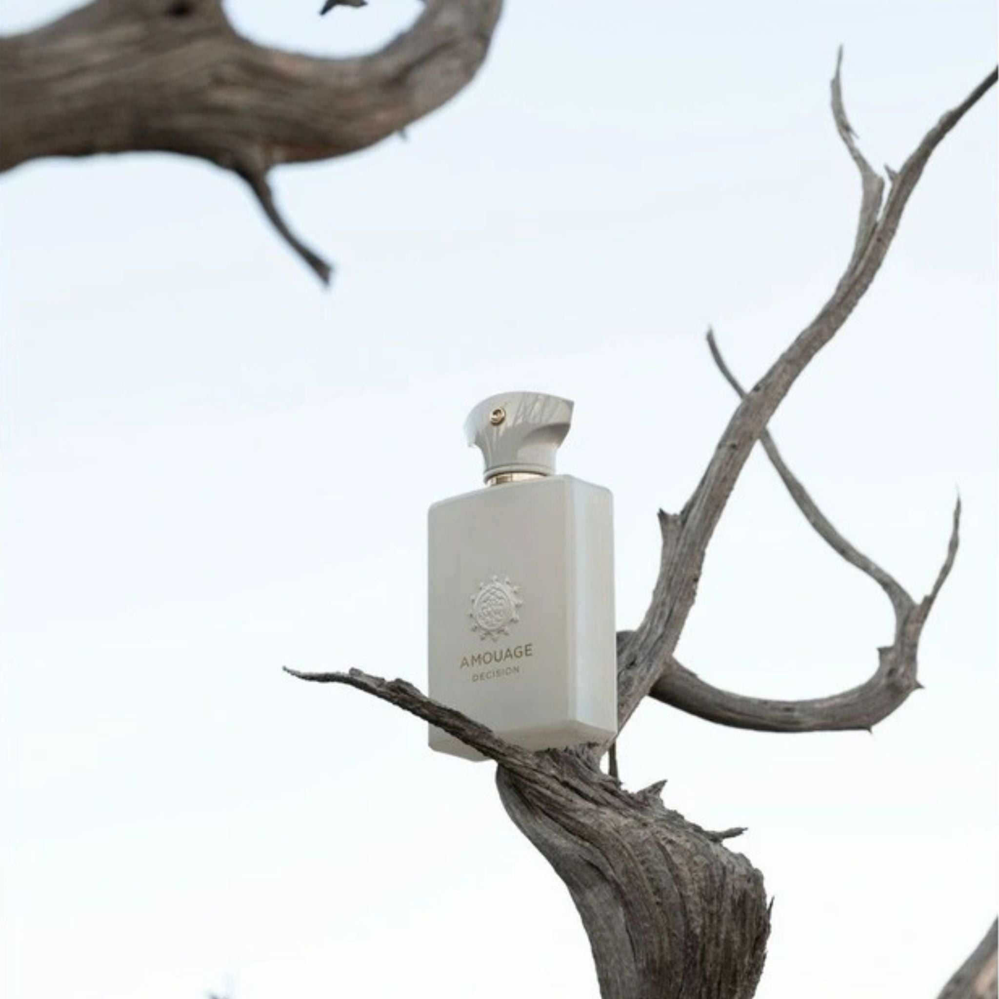 Decision | Amouage | parfumexquis