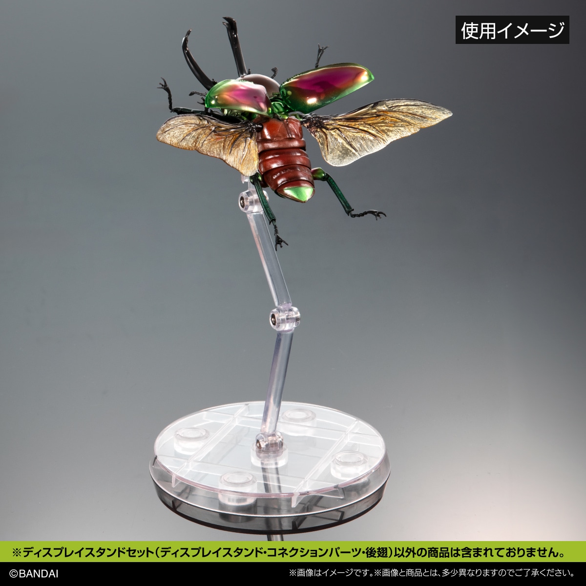 いきもの大図鑑専用 ディスプレイスタンドセット 甲虫後翅（小
