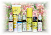 五月病・六月病」 に役立つバッチフラワーレメディ | e Pass Thyme