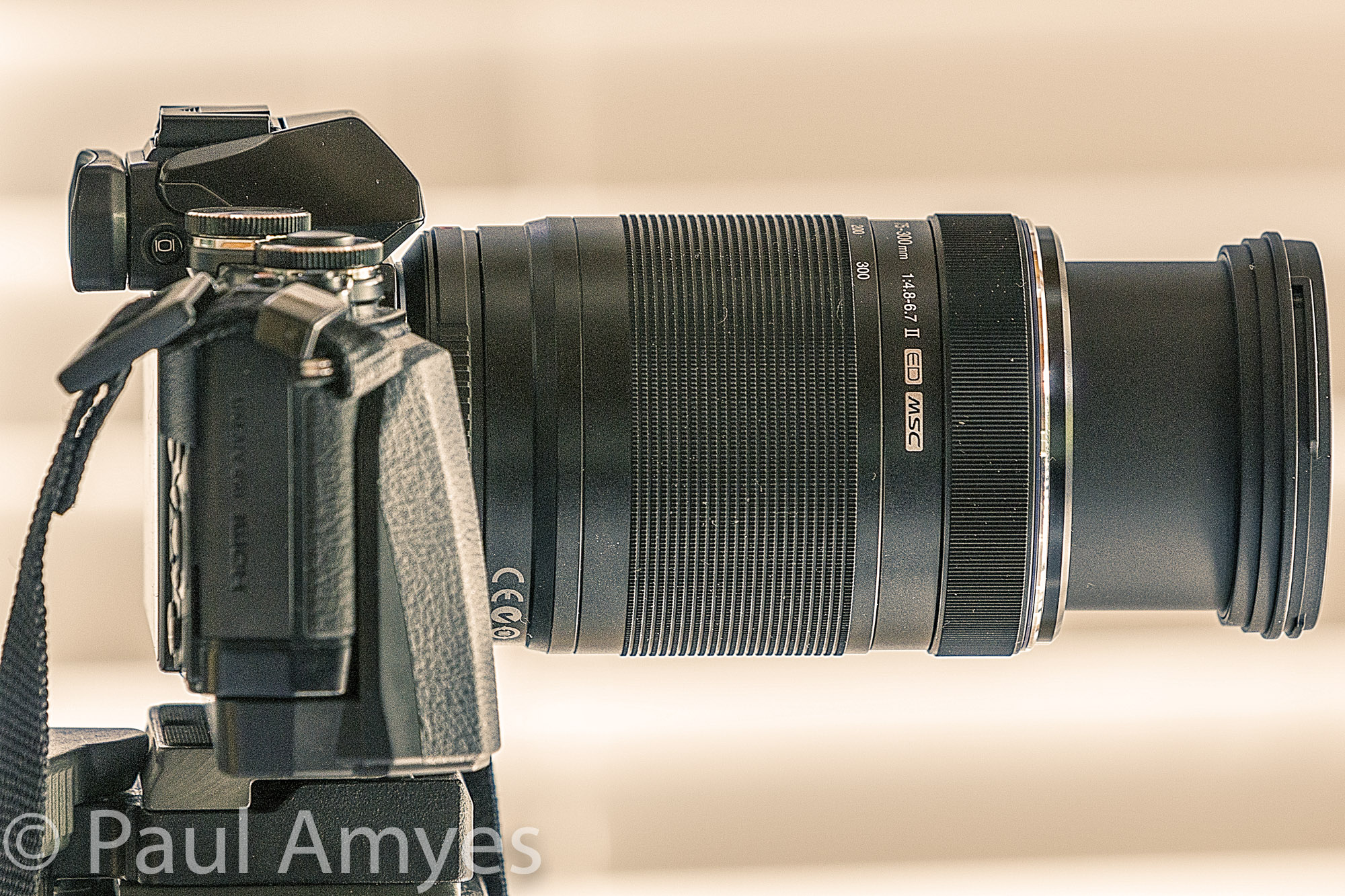 The Long And The Short Of It – paulamyes