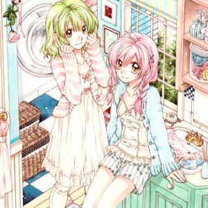 本日マーガレット7号発売!!】カラー26P「猫と私の金曜日」種村有菜