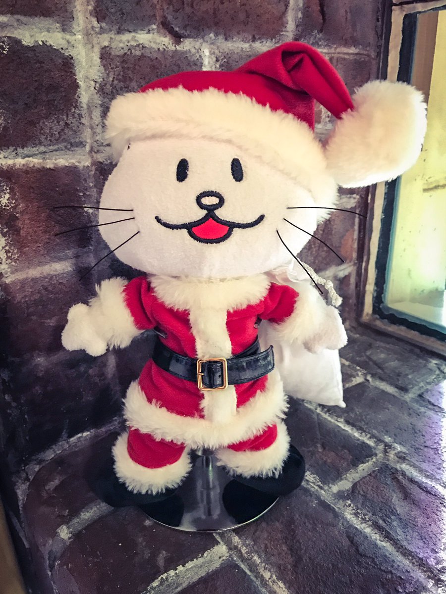 ニコルのサンタバージョン🎄🎅🏻💯😋