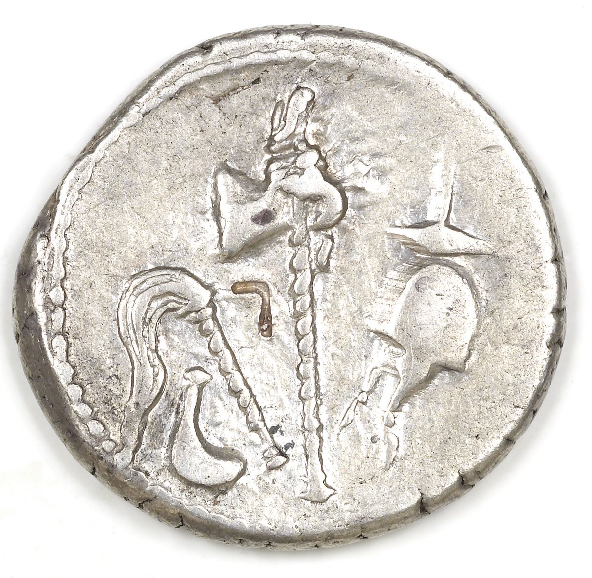 ユリウス・カエサルのコイン。象だ！ 紀元前49-48年頃、古代ローマ