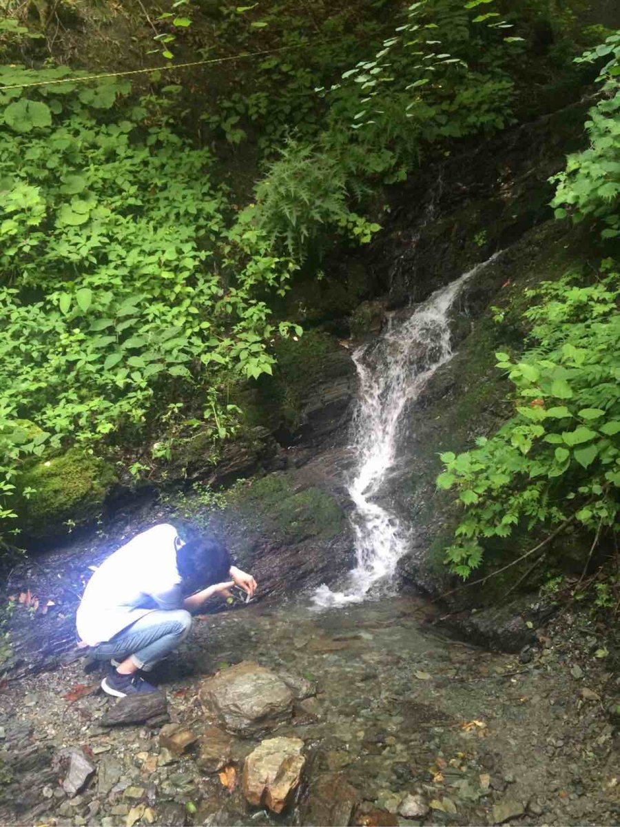 長野県の分杭峠に行ってきた。 ゼロ磁場として知られている場所で