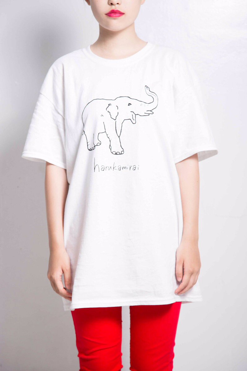 新しいTシャツの目安にしてね！！ 159cm 着用サイズ L 女性 身長168cm