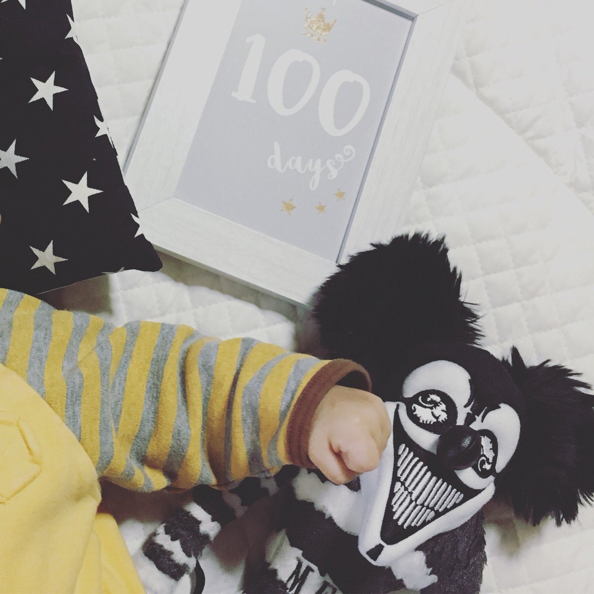 マイファス君ぬいぐるみ (@MFS_kun_Doll) / Posts / X