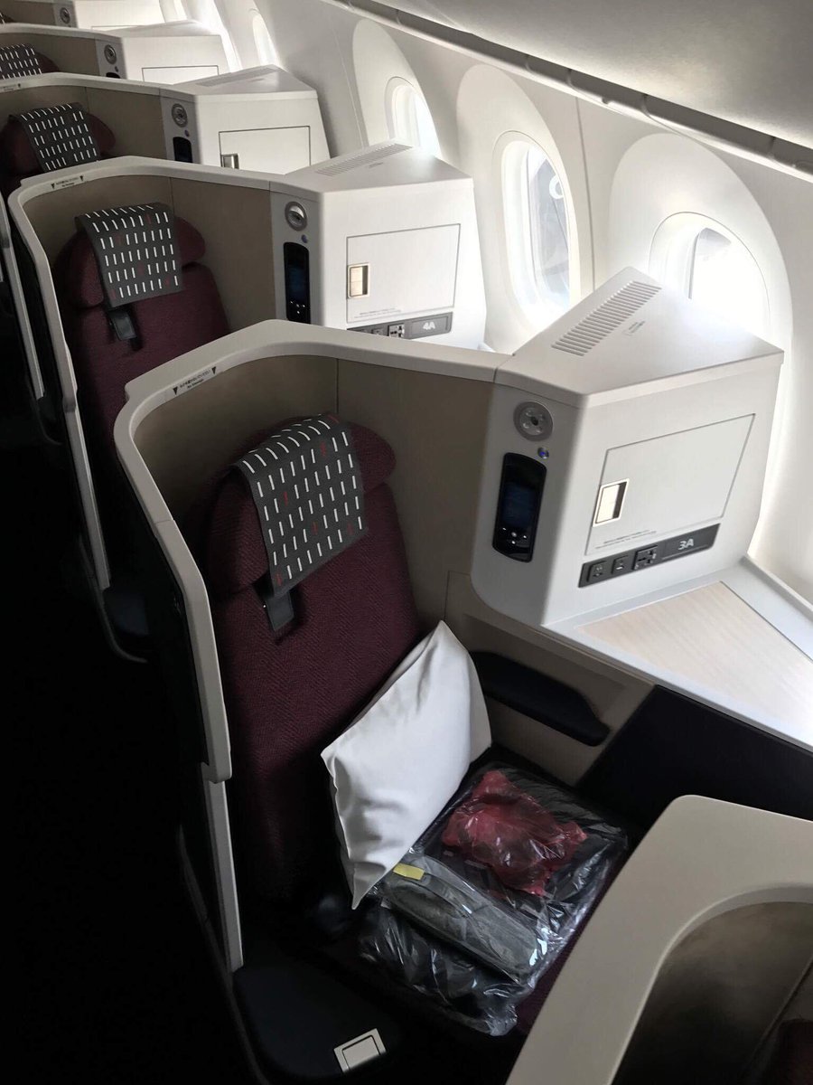 JAL 787-9 SKY SUITE IIIが新登場！最新の787-9 JA869J (9号機)の
