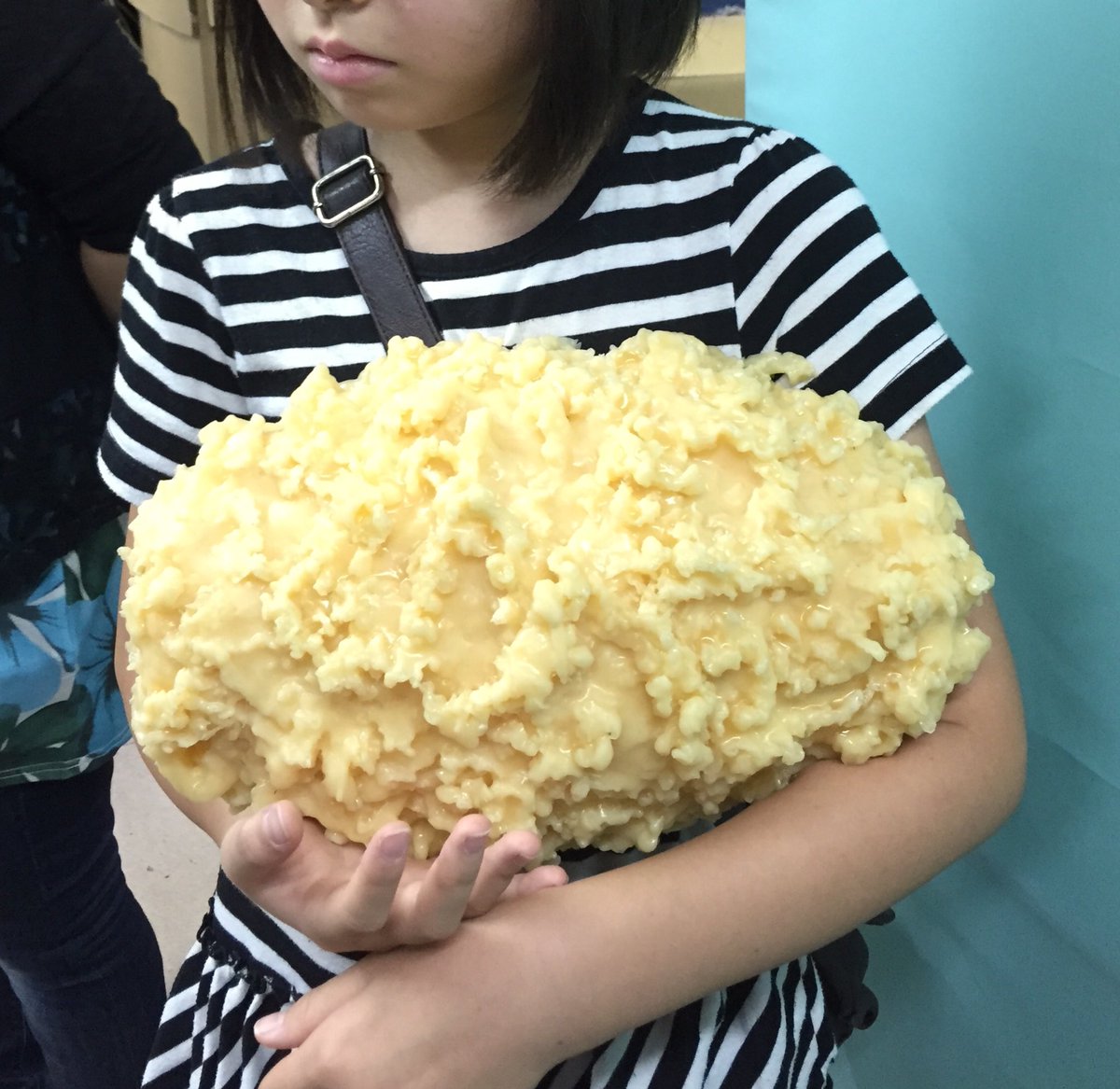 体脂肪モデル「しぼやん」3㎏。 質量とサイズは人間の脂肪と同等