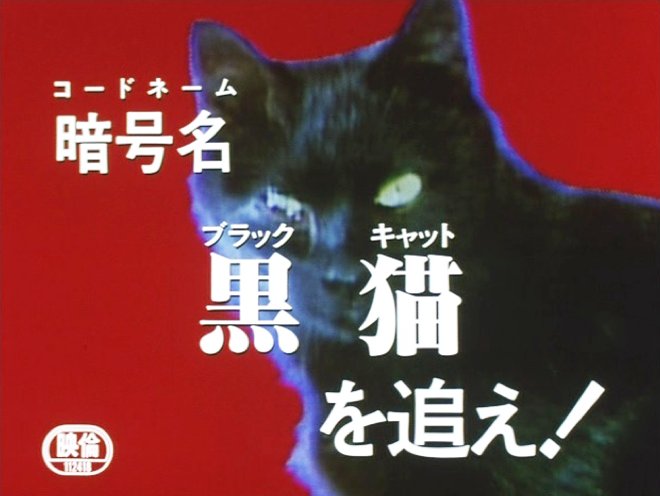 スパイ防止法制定促進のプロパガンダ映画として作られた『暗号名 黒猫