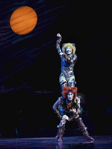 9/29「招き猫の日」に、大阪からジェリクルキャッツが“福”をお届け