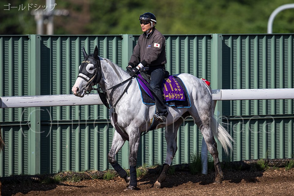ゴールドシップ 星が6個のゼッケンと言えば記憶に新しいのがゴールド