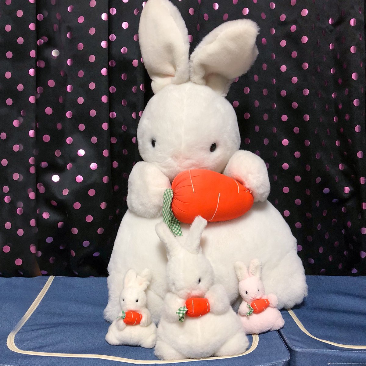 セキグチ にんじんうさぎ 9体 セキグチ にんじんうさぎ 9体 Amazon.co