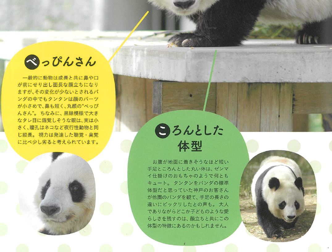 王子動物園のフリーマガジン「はばたき」の最新号ができました。特集は