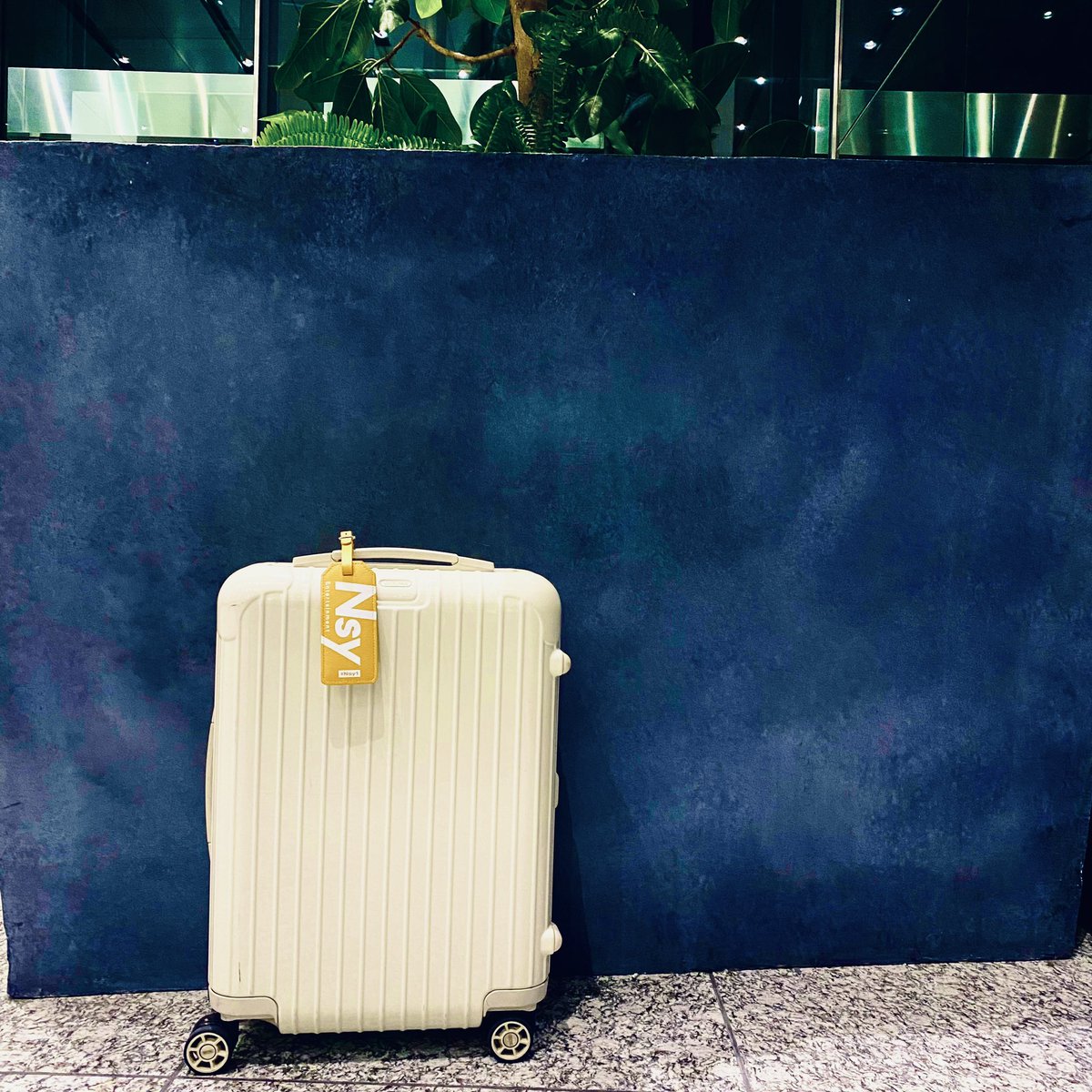 Nissy #Nsy1 #Nsy2 セット 5組セット Nissy #Nsy1 ニッシー 【公式通販】