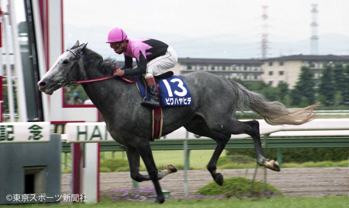 JRA 宝塚記念 ビワハヤヒデ JRA 宝塚記念 ビワハヤヒデ JRA 宝塚記念
