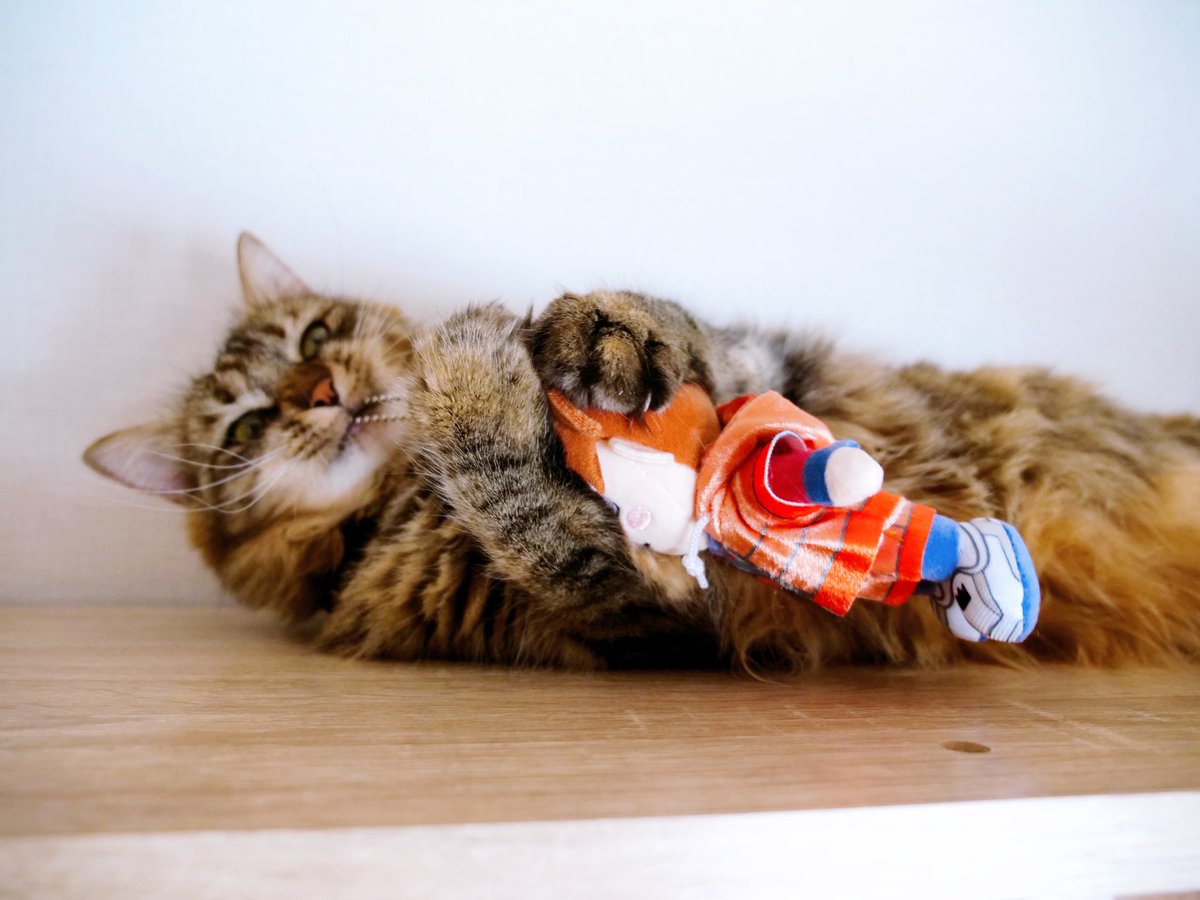 ねえねえみんなすごいよ！！！！ めいちゃんぬいぐるみキーホルダーが