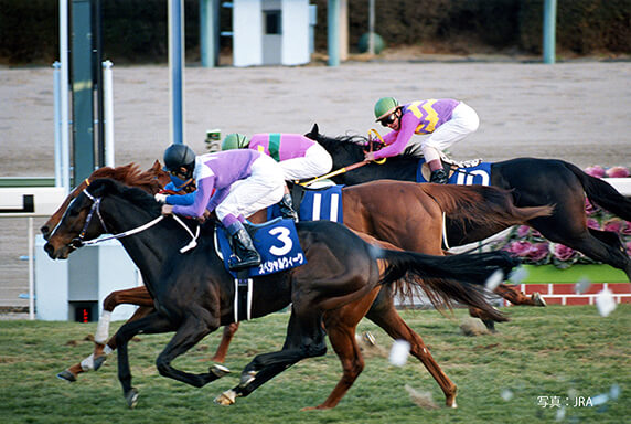 ウマ娘対決と言えばスペシャルウィークとグラスワンダーの一騎打ち。99