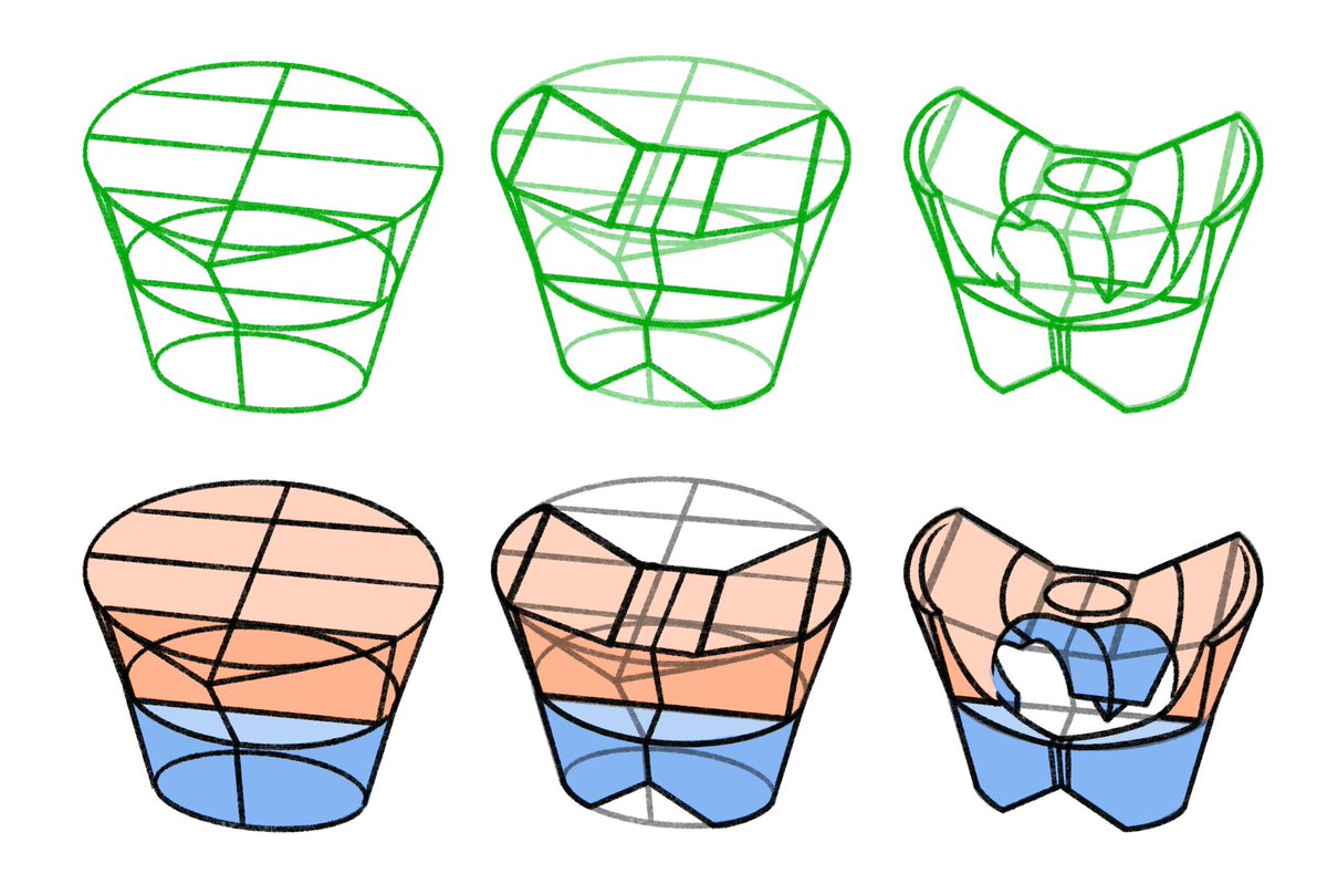 ゴットフリード・バメスによる骨盤の描き方。バメス方式では、まず大