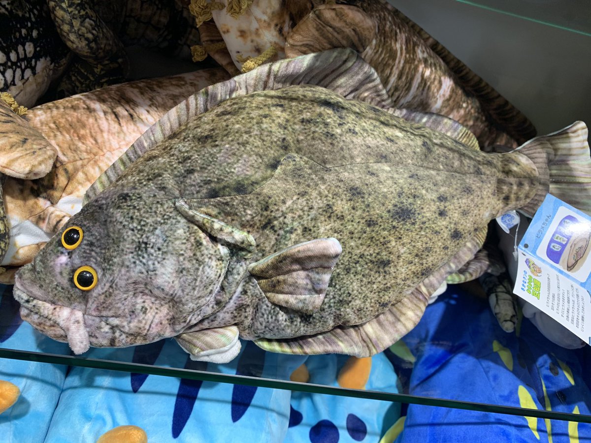 仙台うみの杜水族館】昨日2日のツイートがバズっております「華麗なる