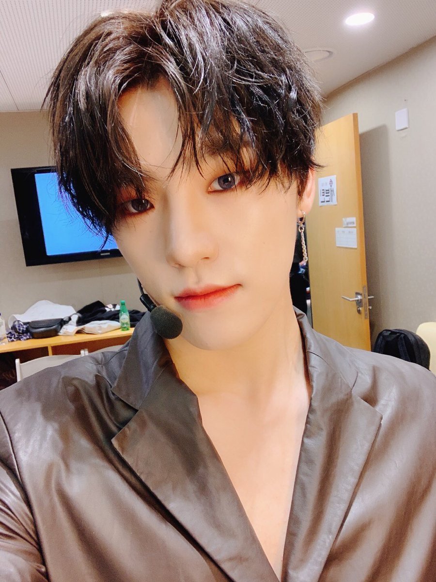 🦖🦖🦖🦖🦖🦖🦖🦖🦖🦖🦖🦖🦖🦖🦖🦖🦖🦖🦖🦖🦖🦖🦖🦖 ディノ ちゃん