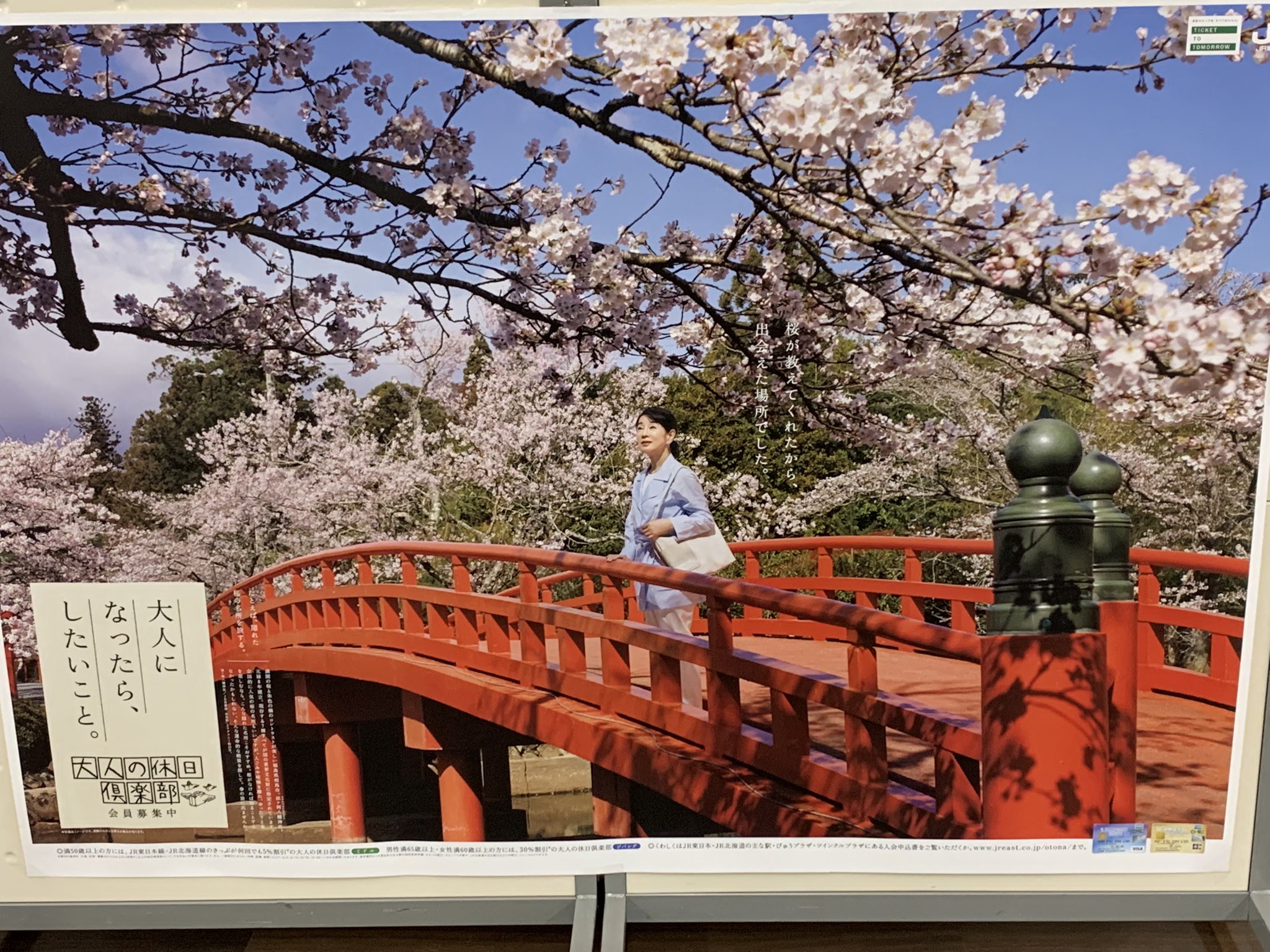 吉永小百合特大ポスター加賀百万石 ◇大人の休日倶楽部BO特大非売品