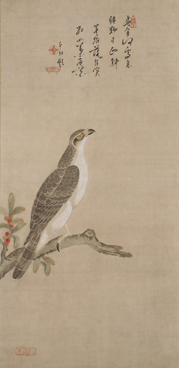 こちらは、 美濃国守護大名土岐頼芸の二男 土岐頼次（1545-1614）の