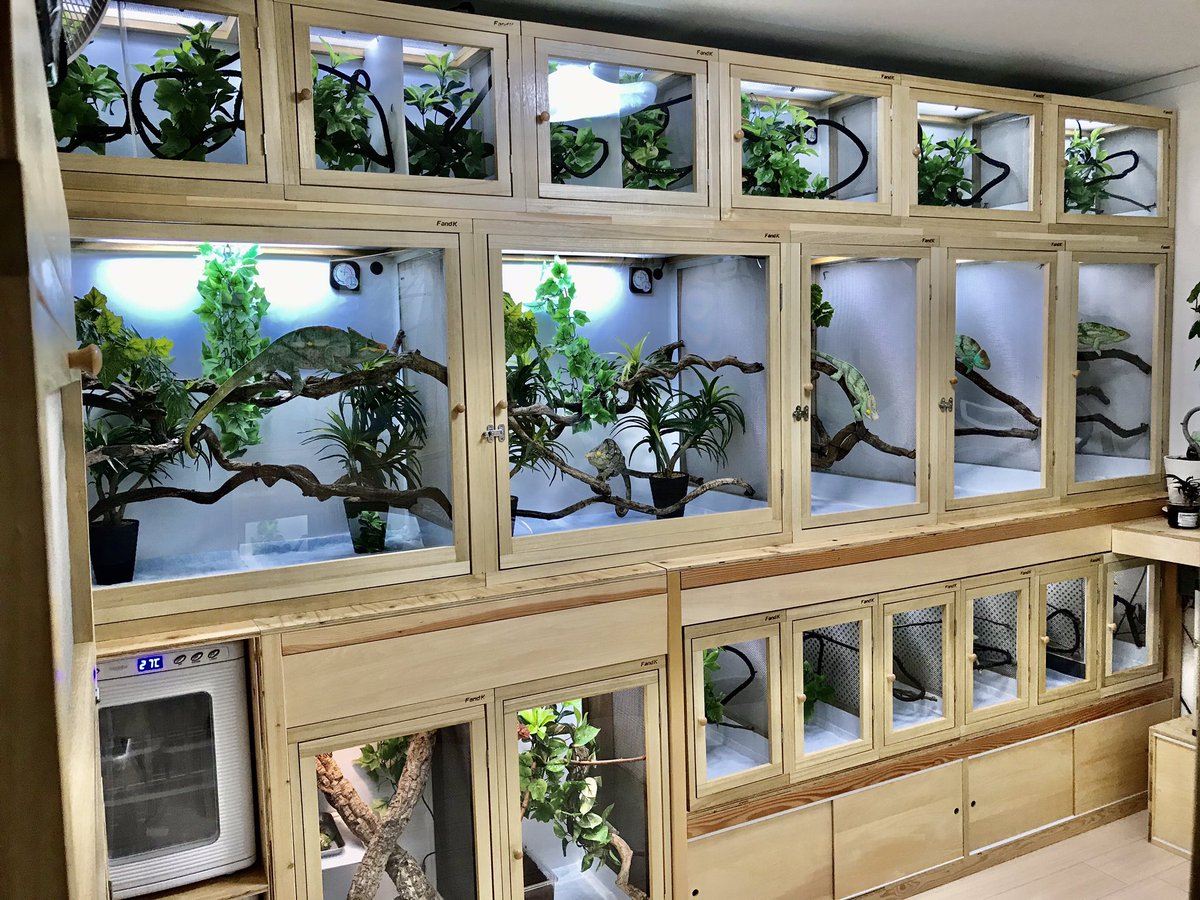 爬虫類ケージ 684540 オーダー 爬虫類ケージ 684540 オーダー 【公式通販】