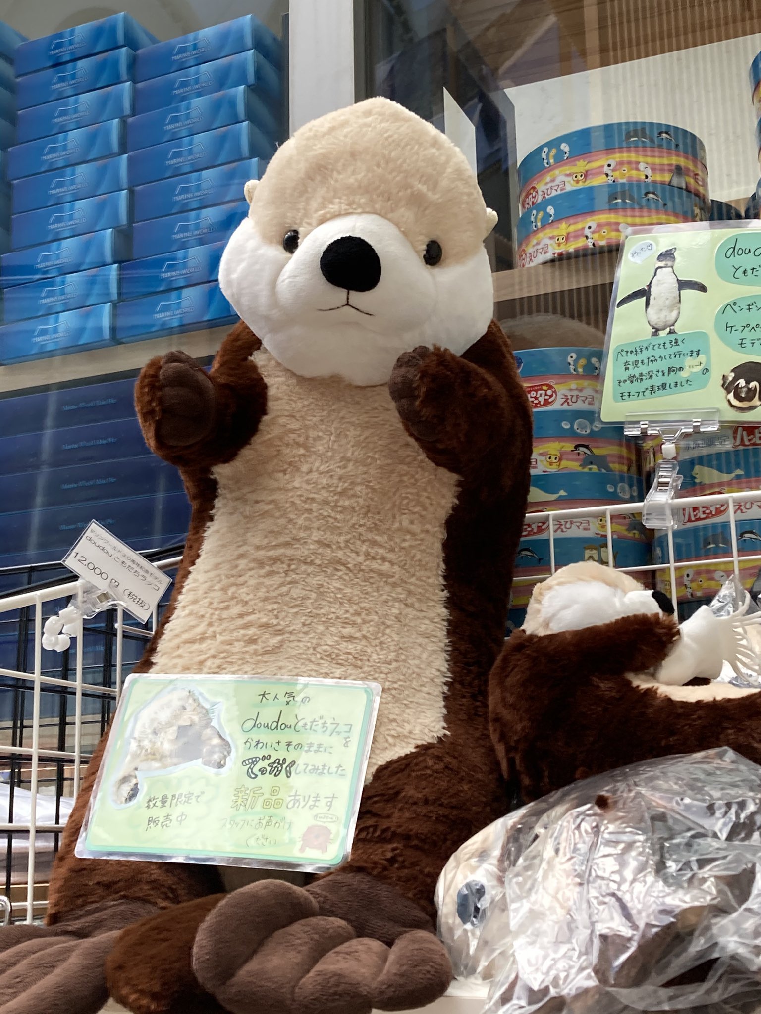 マリンワールド doudouともだちラッコ 1点 マリンワールド doudou