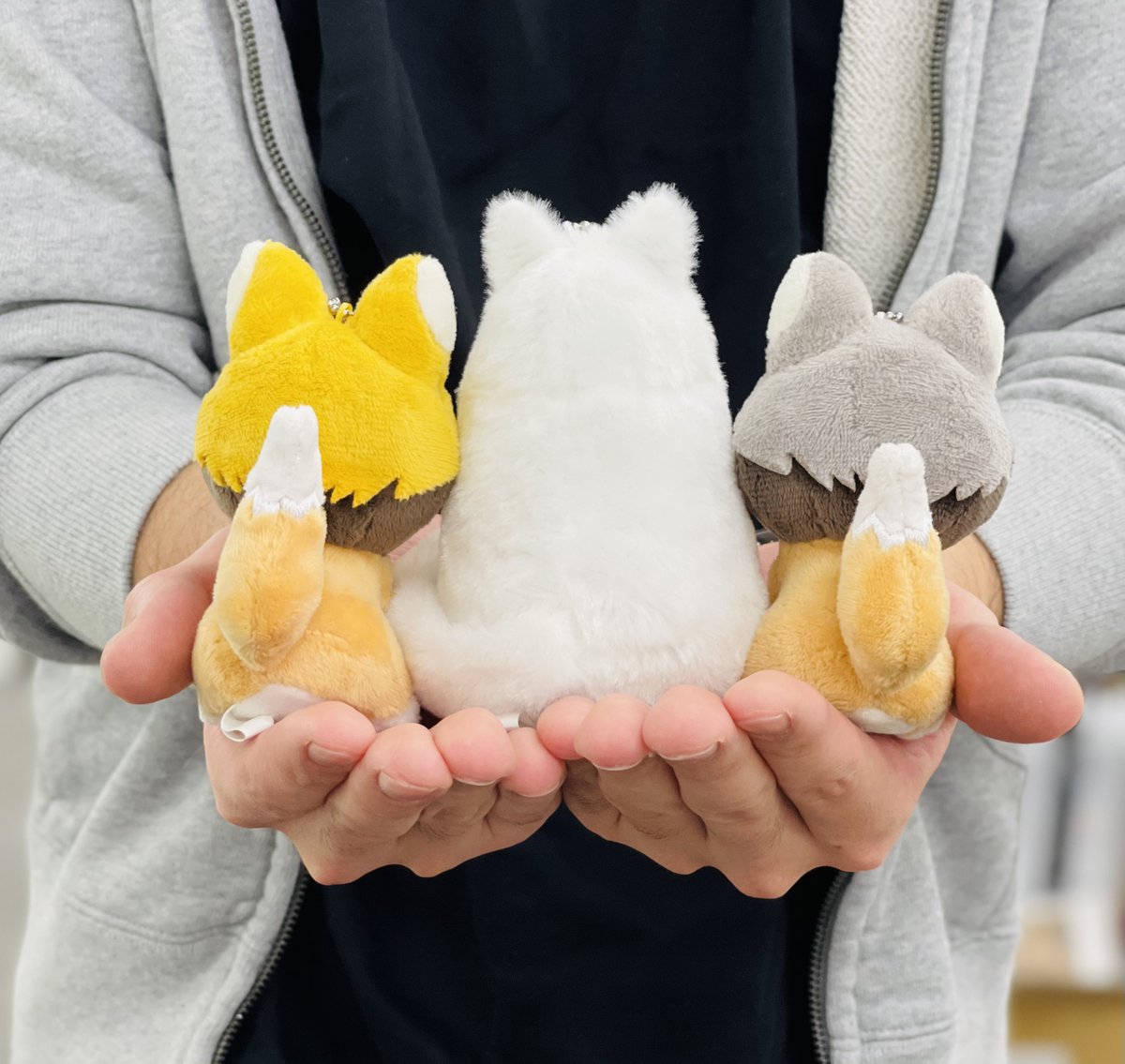 ハイキュー!! TO THE TOP」BD/DVDシリーズ発売中！ TOHO animation