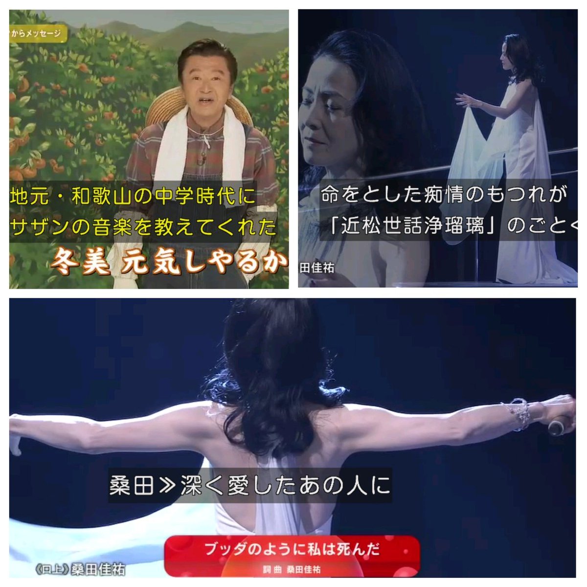 NHK紅白【桑田佳祐の口上から♪】 #坂本冬美 #ブッダのように私は死ん