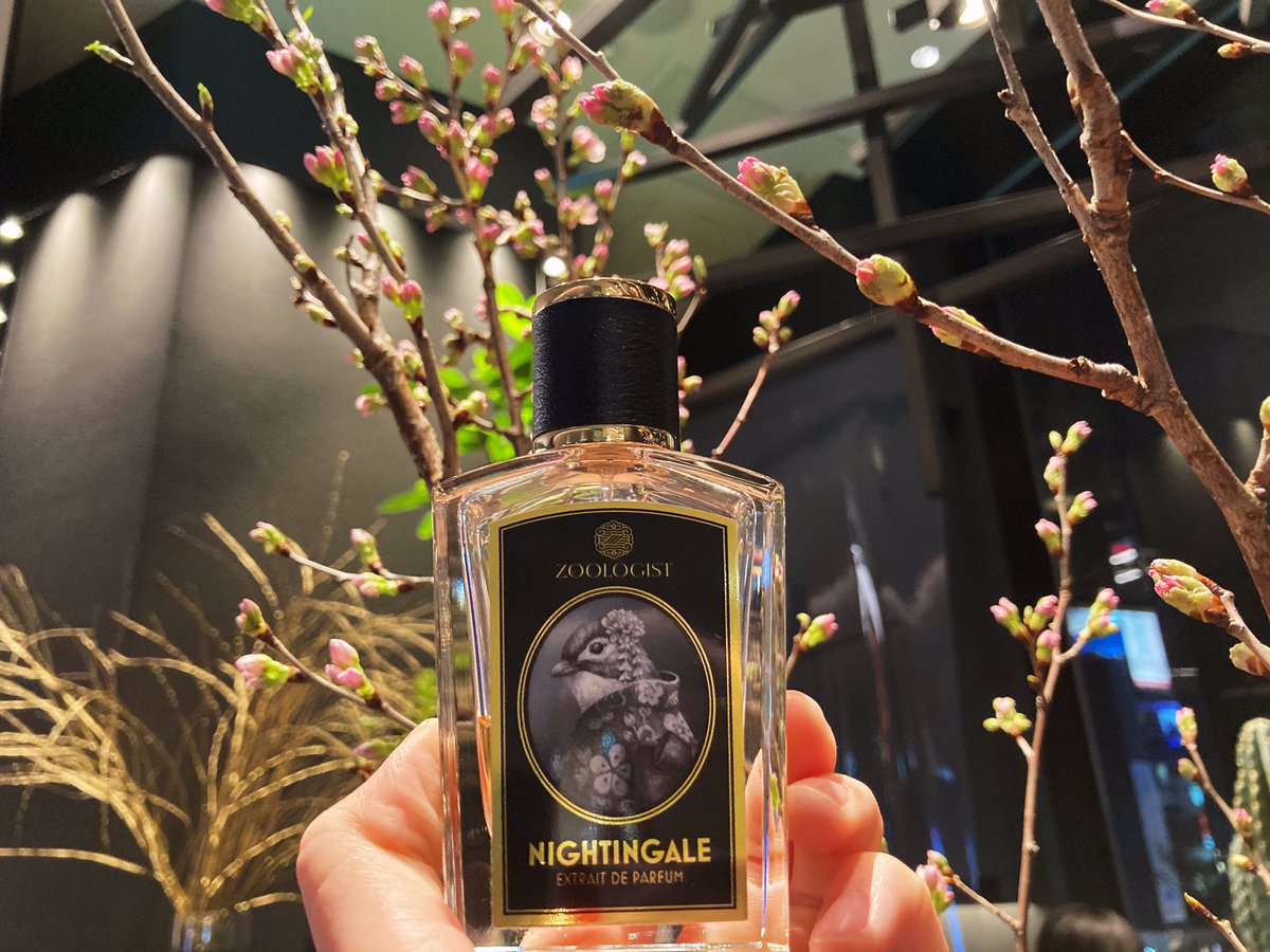 ZOOLOGIST｜ナイチンゲール吹き付けた瞬間に力強いローズと、 春の訪れ