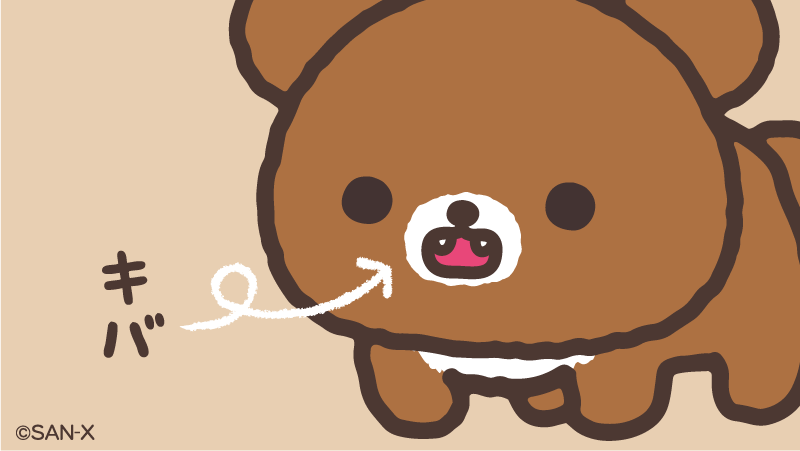 🍯チャイロイコグマのひみつ〜その4〜🍯 口を開けるとキバがあるよ