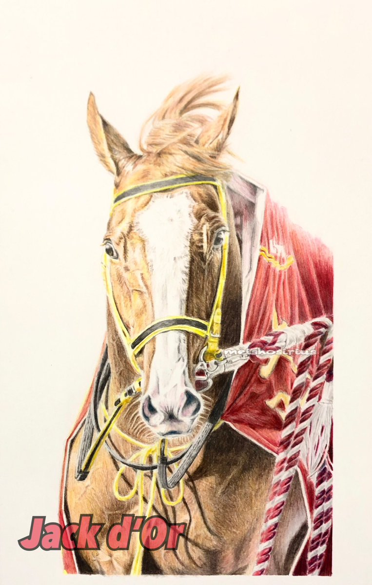 アイドルホースオーディション2023 #アフリカンゴールド #ジャック