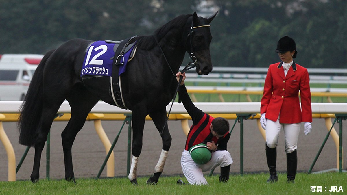 第168回 天皇賞(秋)(GI)まであと1時間🔥／ 第146回(2012年)の優勝馬は