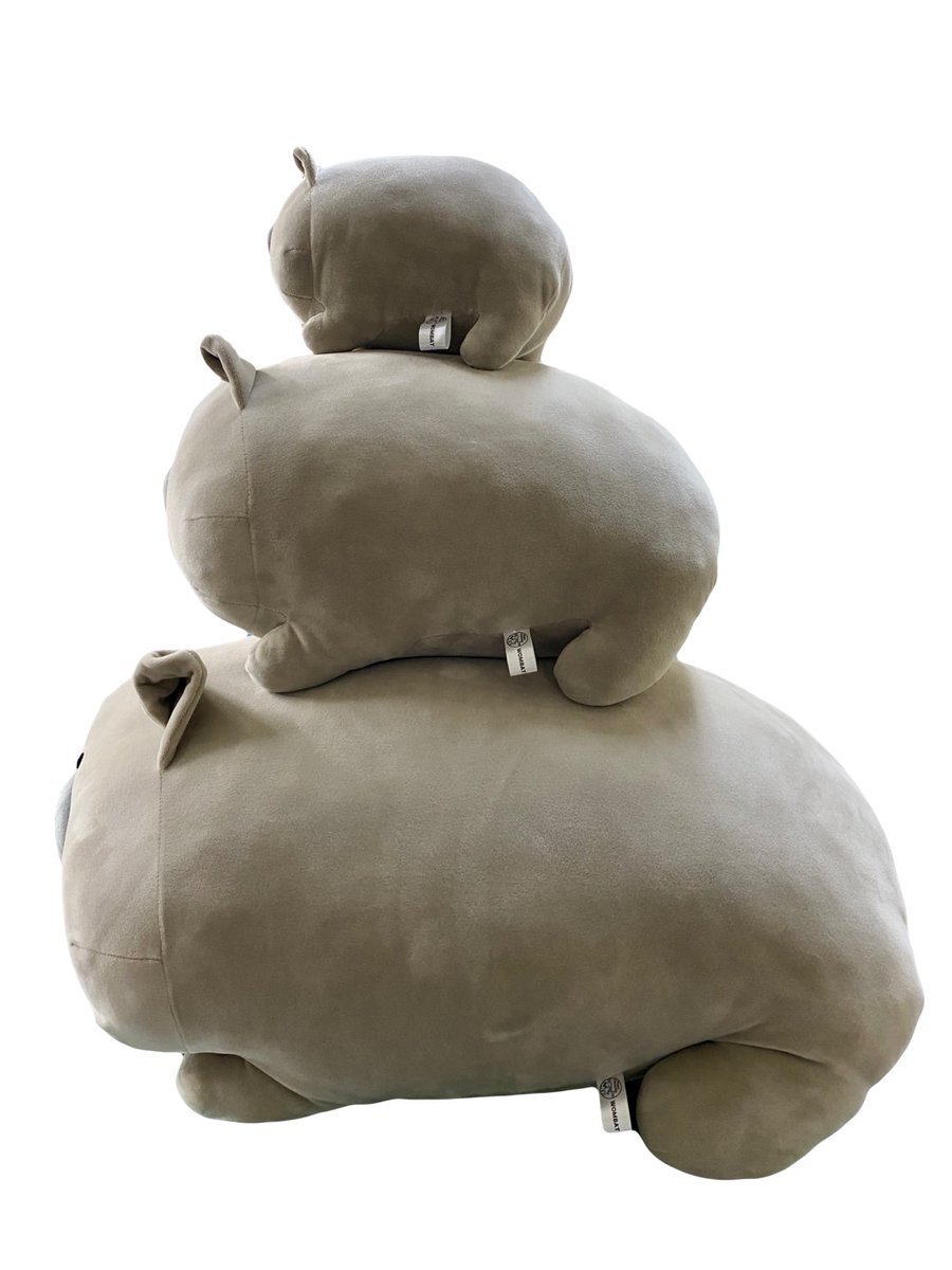 っつ…ついに発表しまぁす🤗✨ ／ #茶臼山動物園限定 完全オリジナル