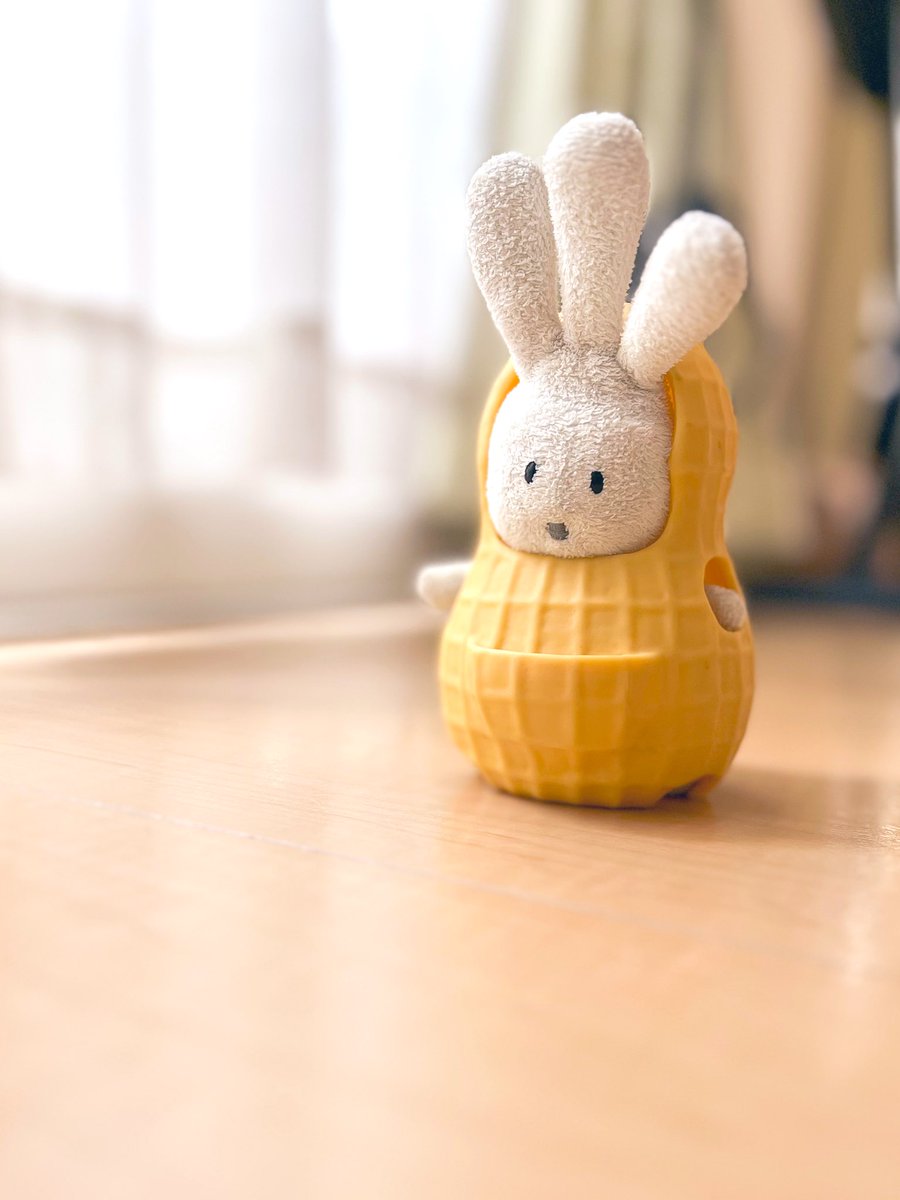 おじぎちゃん (@ojigi_beach) / Posts / X