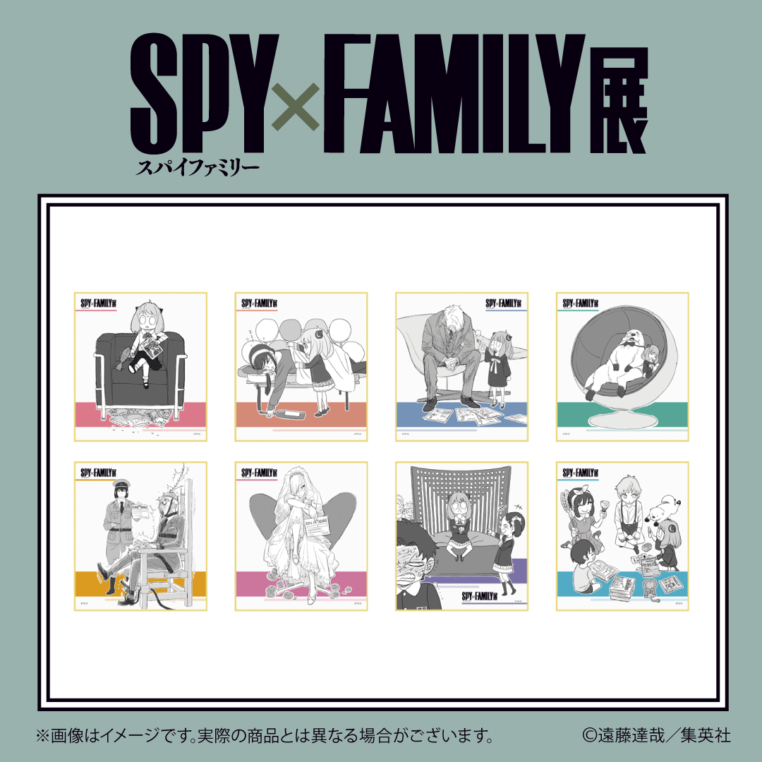SPY_FAMILY展 グッズ情報】 色紙コレクション（全8種／ランダム1種