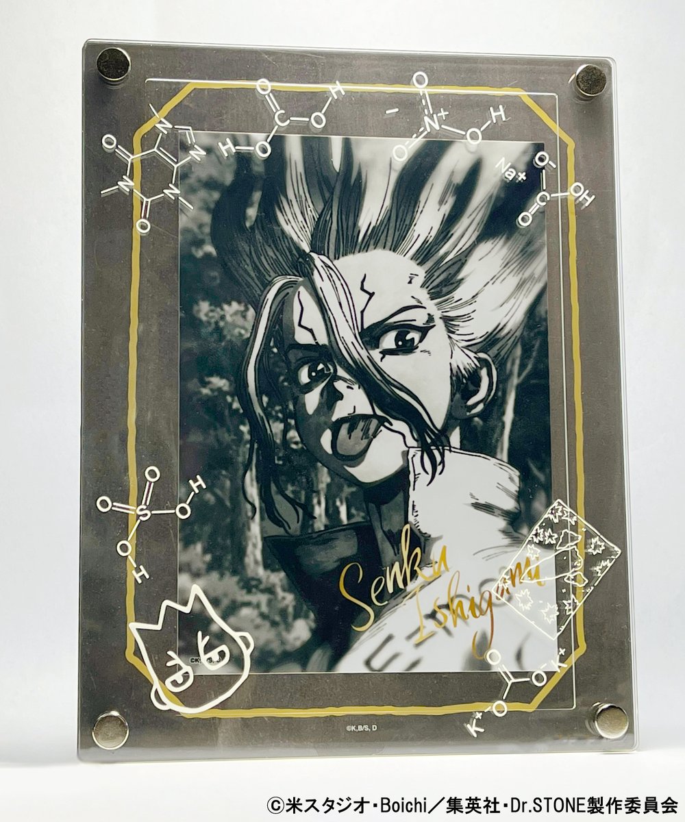 DrSTONE】 ＼予約販売中🎊／ 💎石神千空ブロマイド+アクリルフォト